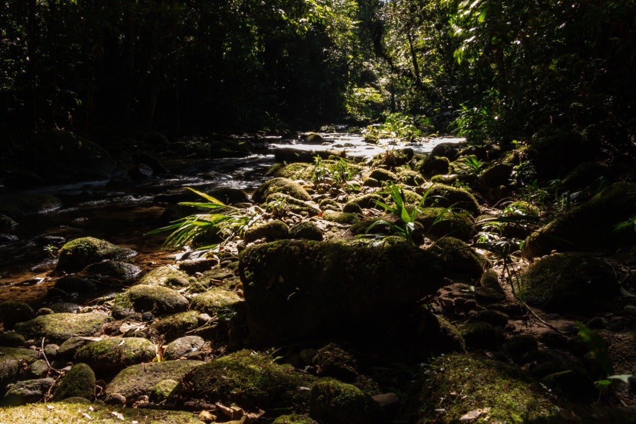Descubra 10 atrativos de ecoturismo no Litoral Norte de São Paulo 1