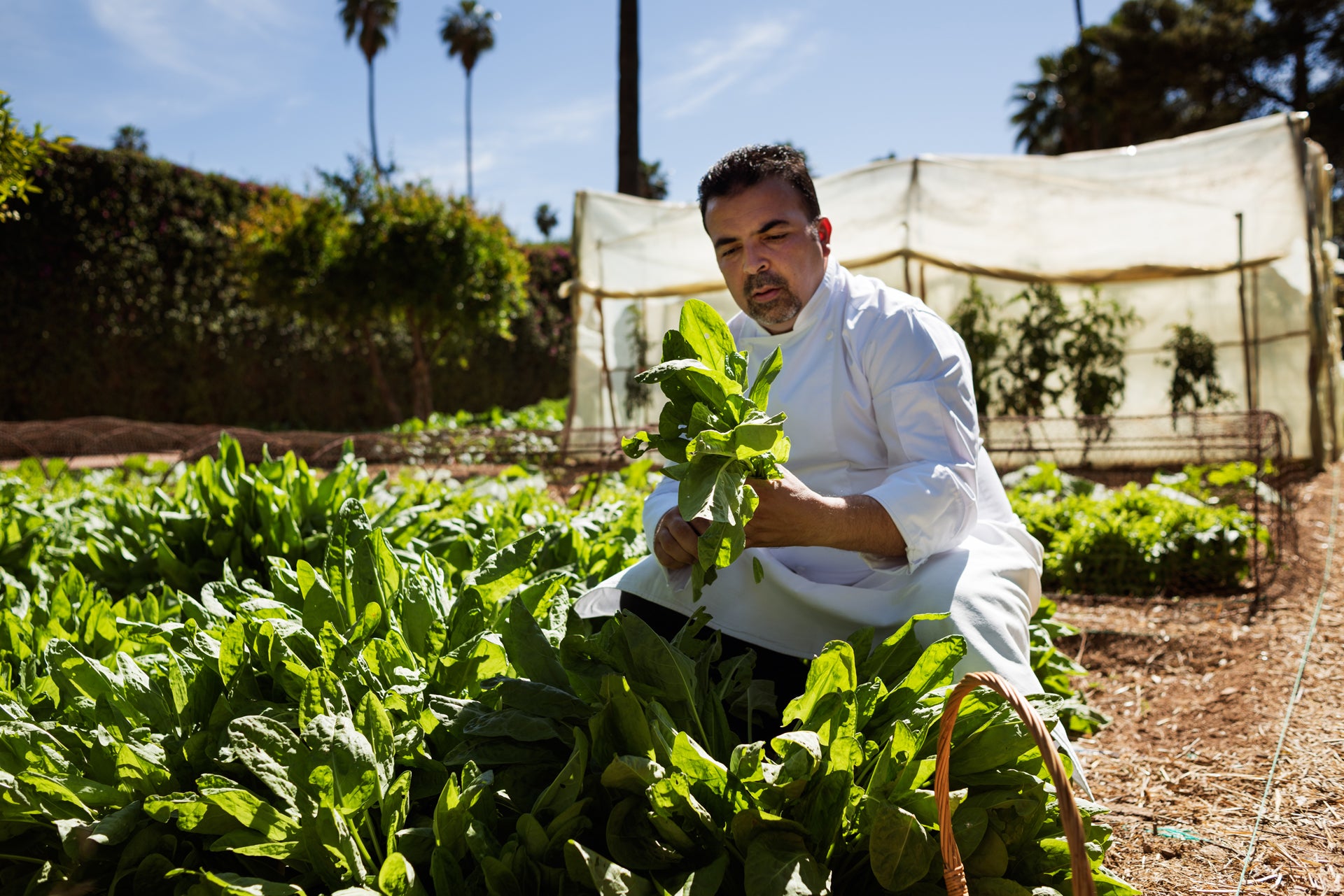 Em Marrakech, restaurantes do La Mamounia elevam a experiência gastronômica a uma viagem por aromas e sabores do mundo