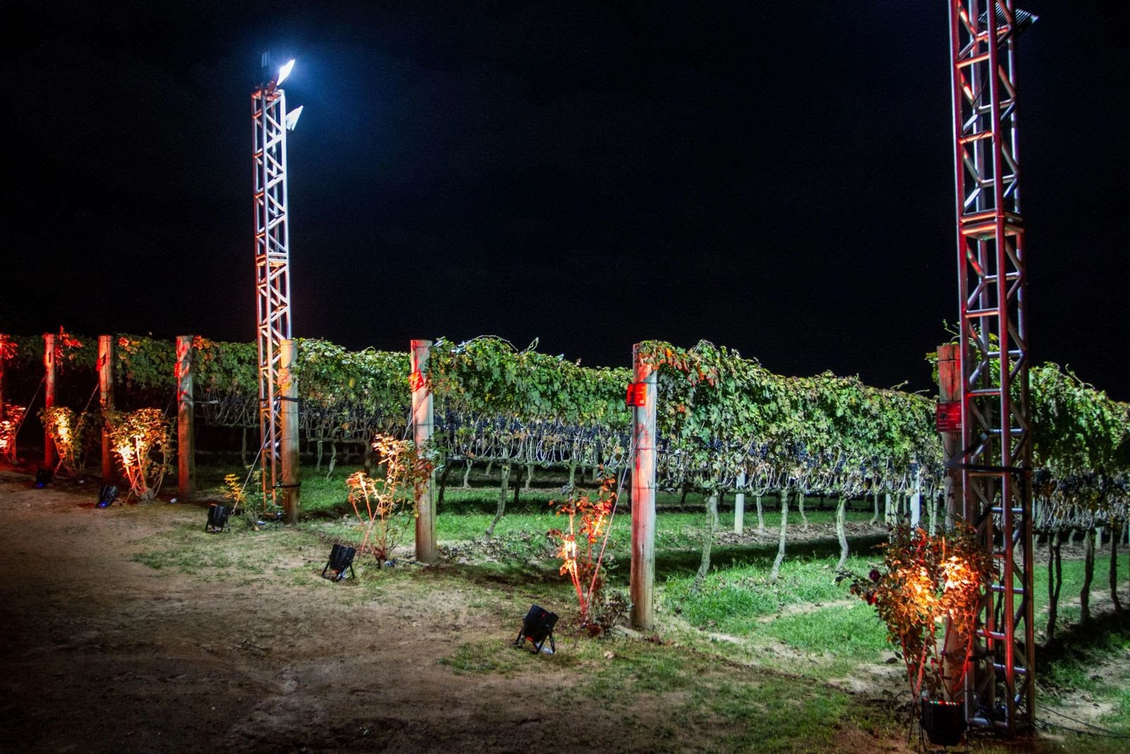 Noites de inverno ganham charme e sabor com evento exclusivo na Vinícola Góes