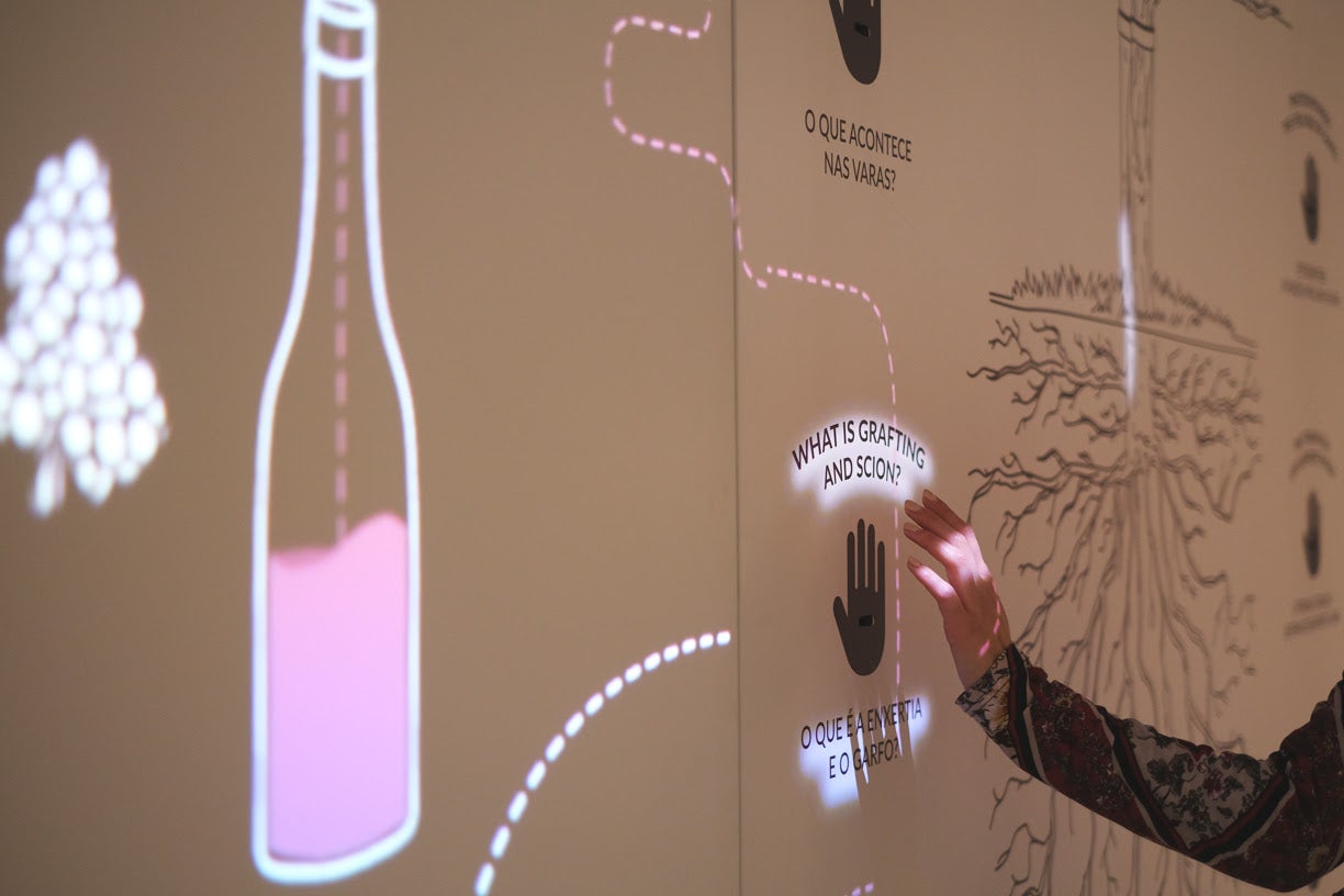 Museu em Vila Nova de Gaia oferece experiência imersiva sobre o universo do vinho 1