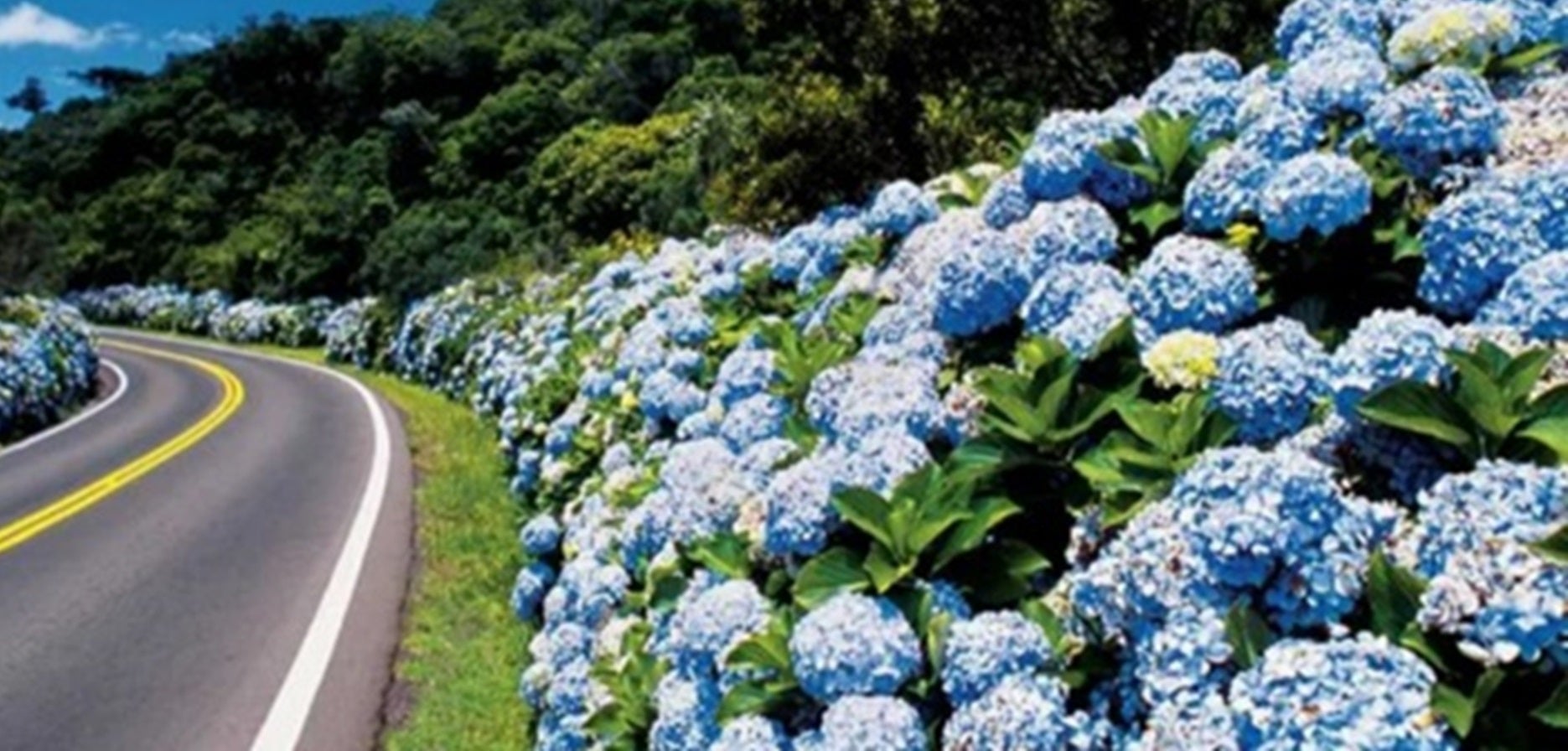 Cinco motivos para visitar a Serra Gaúcha na primavera 2 Cinco motivos para visitar a Serra Gaúcha na primavera 1