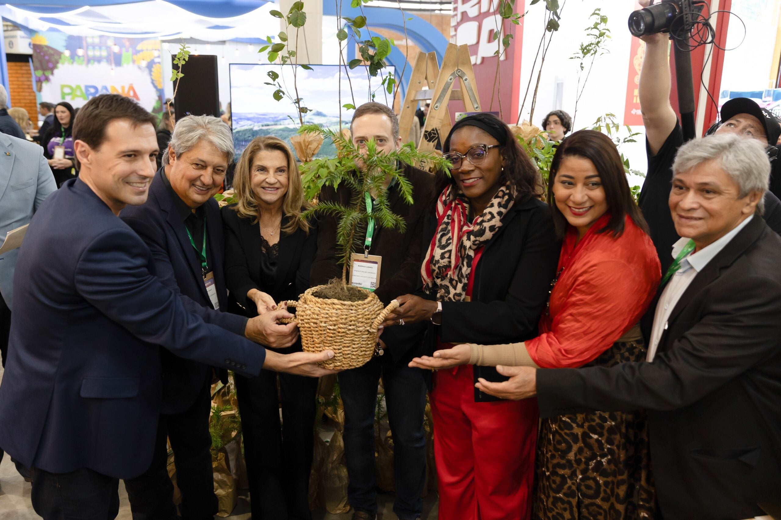 Araucária, símbolo de resiliência e força, é plantada em homenagem à Costa Rica 2 Araucária, símbolo de resiliência e força, é plantada em homenagem à Costa Rica 1