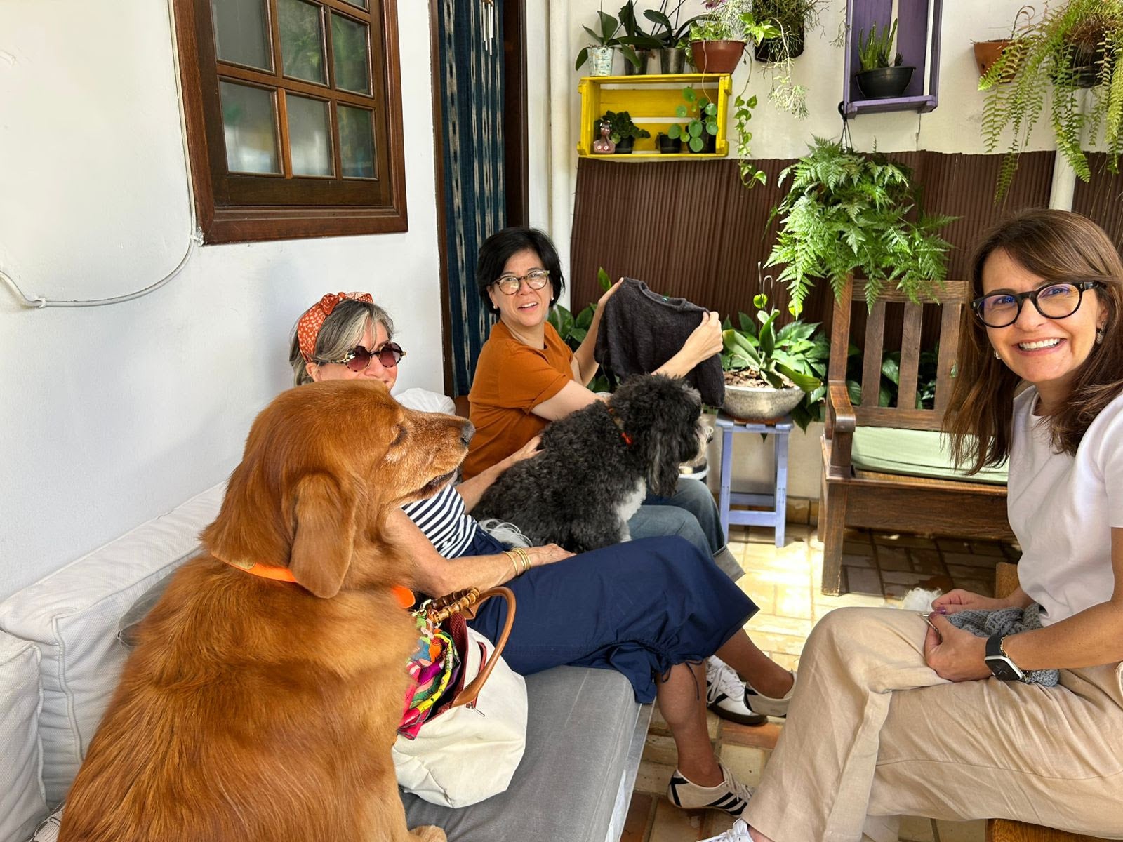 Aulas de artes manuais ganham novo charme com pets no Empório das Lãs 1