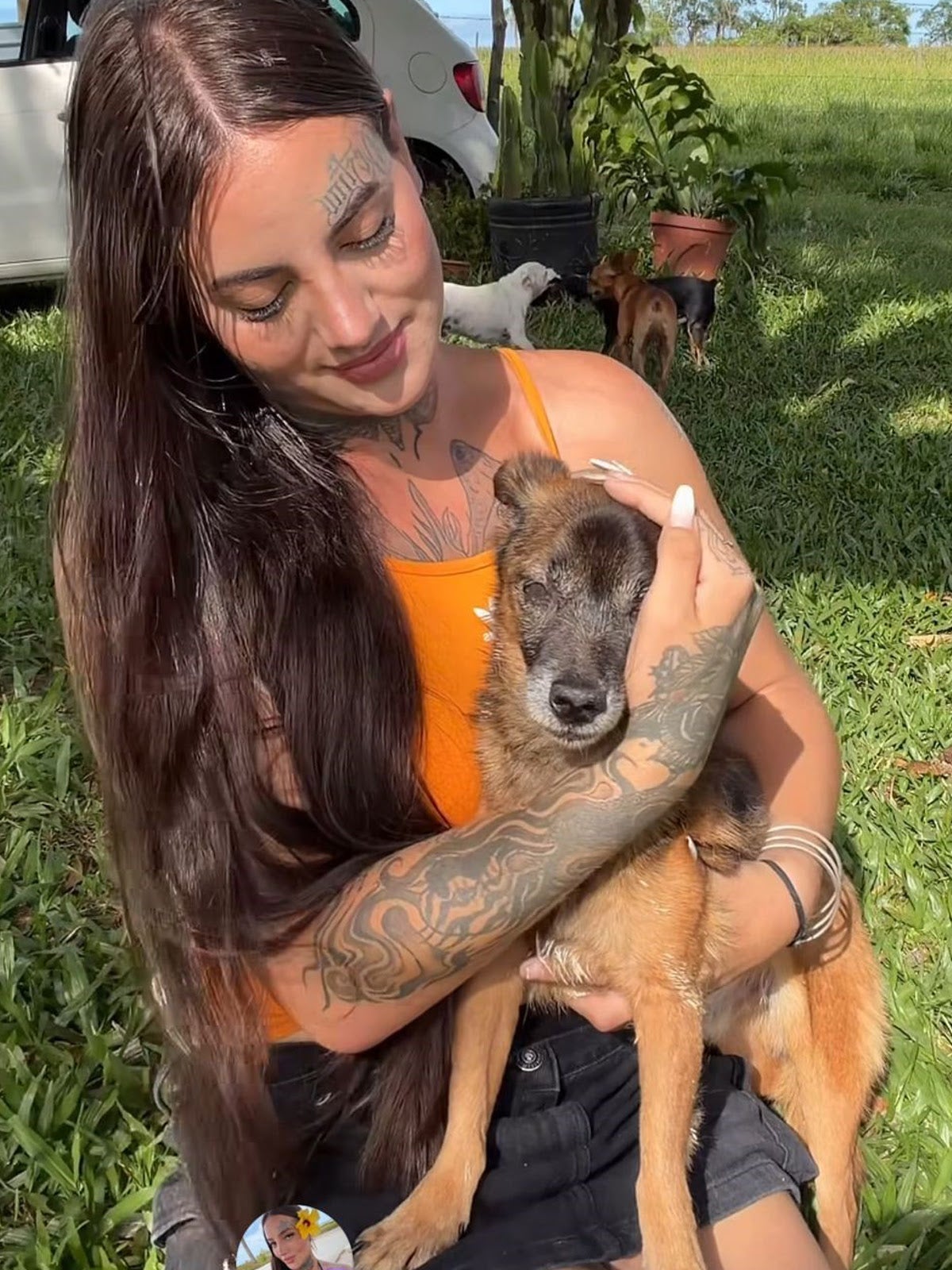 Justiça determina que o cão Nick continue com a influenciadora Luiza Mayers, que o resgatou de condição de sofrimento 1