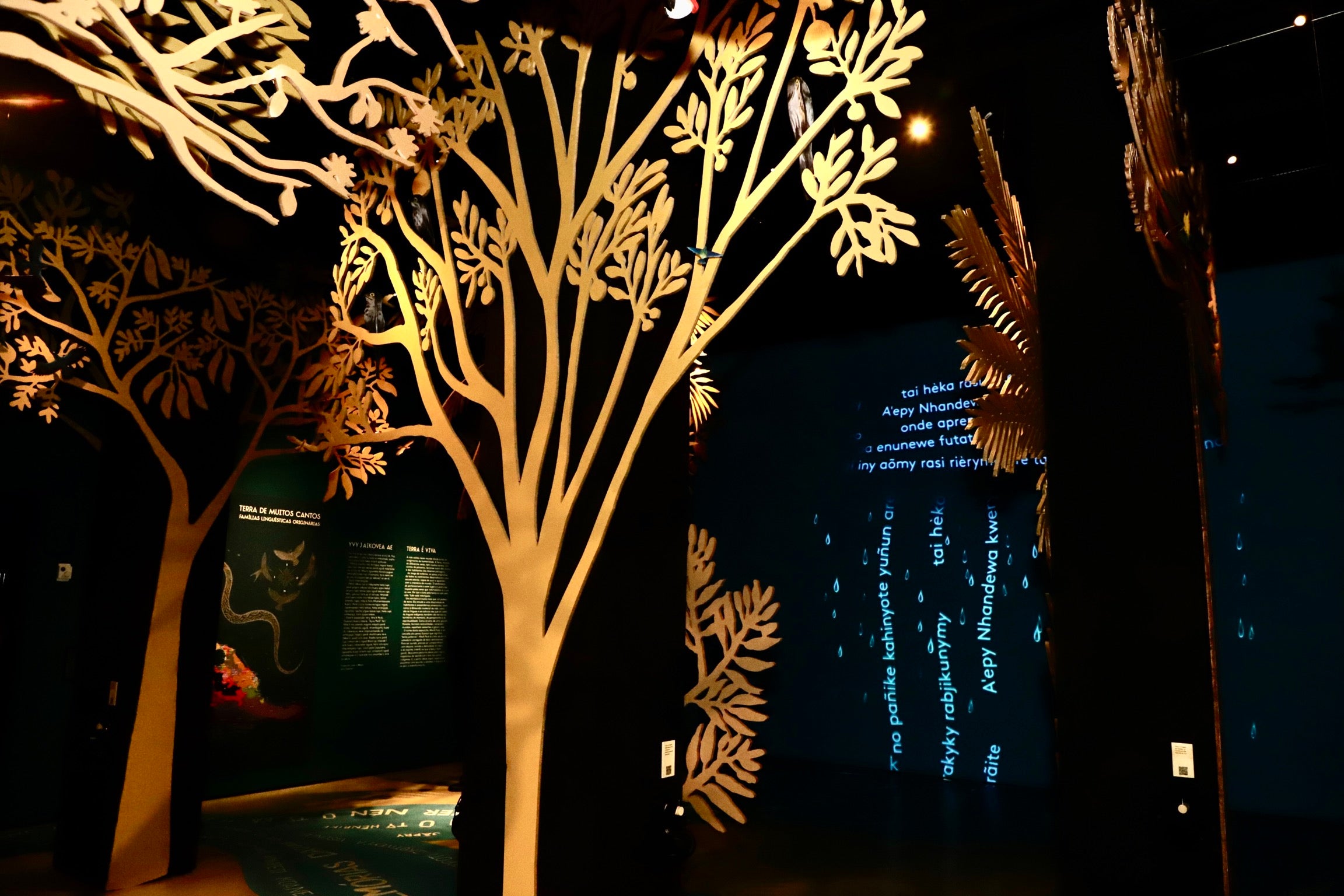 Museu da Língua Portuguesa celebra 20 anos em março 1