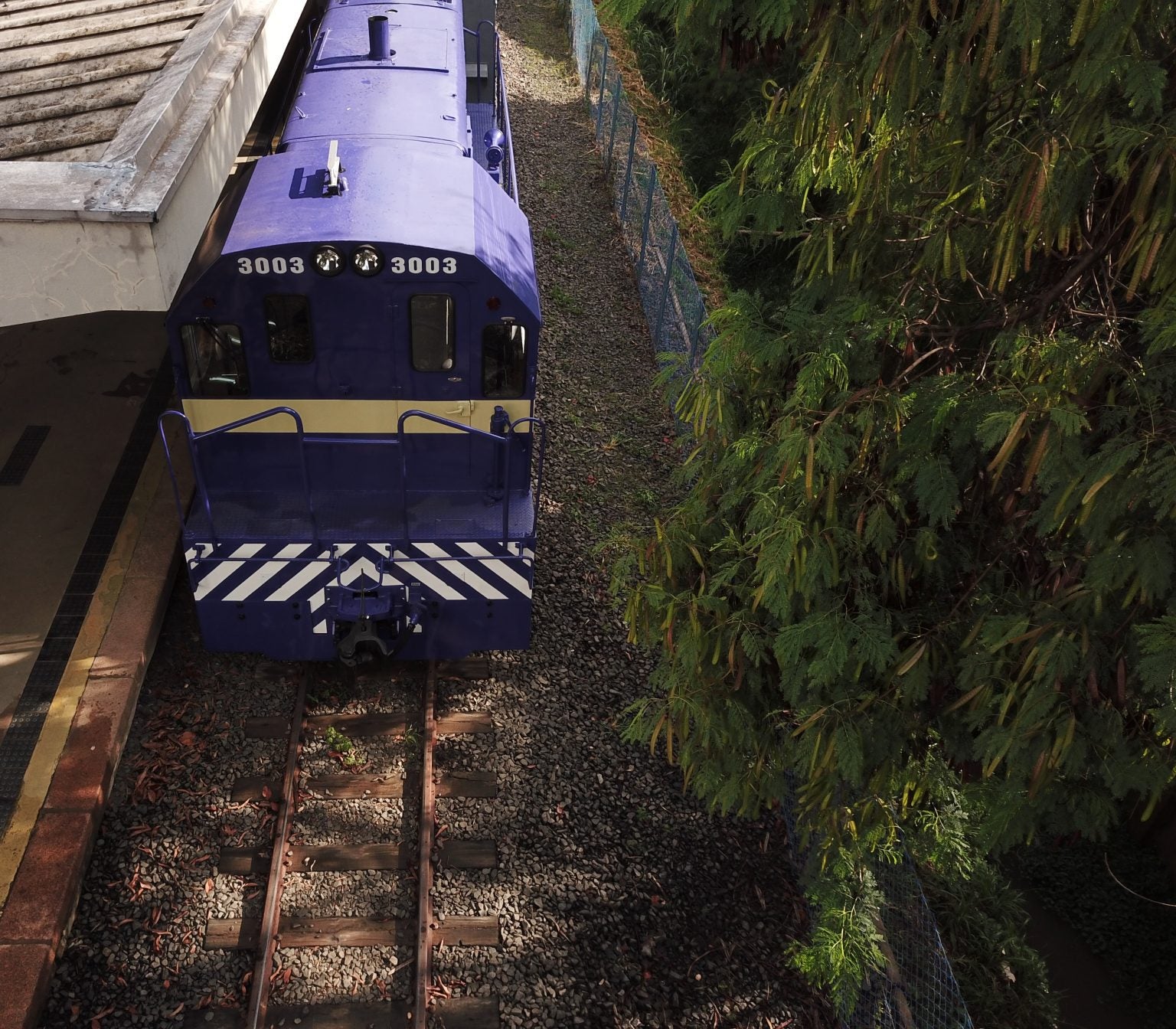 Beer Train: passeio de trem com degustação de cervejas artesanais volta a São Paulo 1