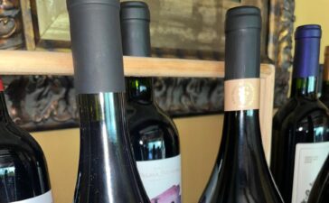 Taças de vinhos de Minas Gerais dispostas para degustação de turistas em uma das vinícolas do estado durante roteiro de enoturismo.