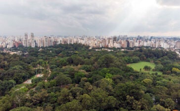 Vista aérea do Parque Ibirapuera com o horizonte de São Paulo ao fundo