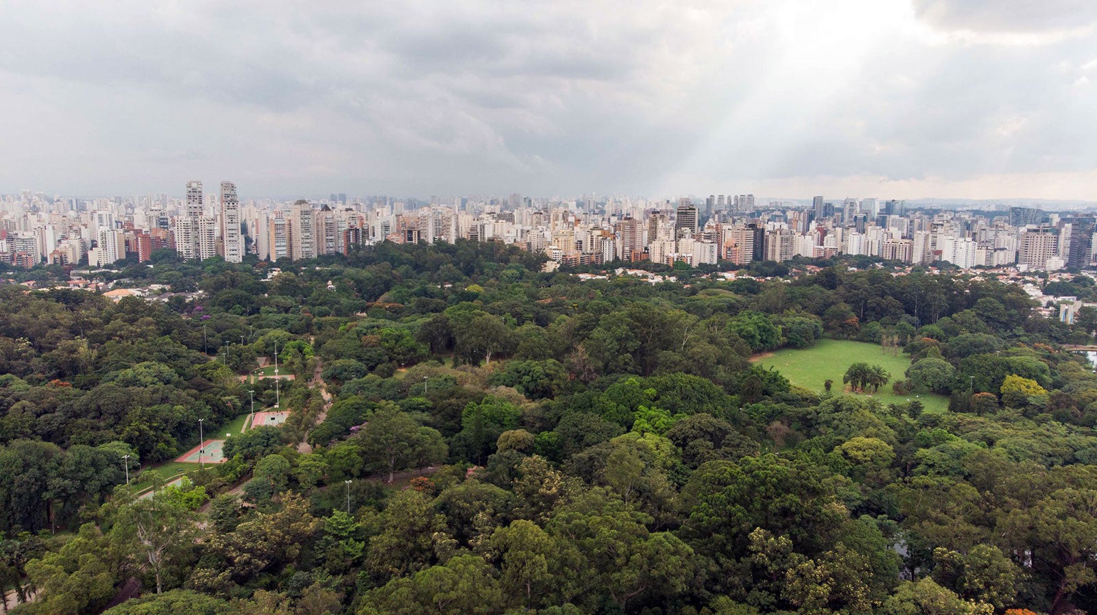 Vista aérea do Parque Ibirapuera com o horizonte de São Paulo ao fundo