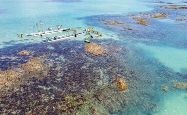 Praia de Ipioca em Maceió
