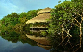 Juma Amazon Lodge com bangalôs sobre palafitas na Amazônia