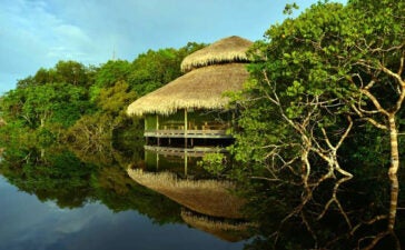 Juma Amazon Lodge oferece imersão na Amazônia 3 Juma Amazon Lodge com bangalôs sobre palafitas na Amazônia