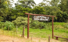 trilhas de longo curso em Goiás