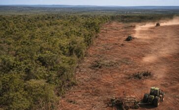 Operação investiga desmatamento do Norte