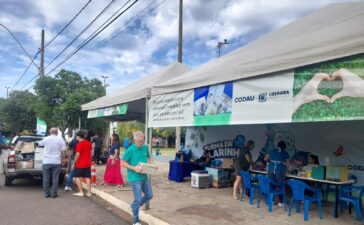 descarte de eletrônicos em Uberaba