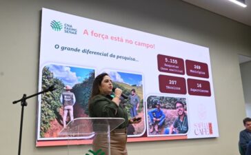 Safra de café em Minas Gerais deve alcançar 33,4 milhões de sacas em 2026